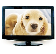 37" LCD Monitor TV