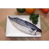 Mackerel,Norwegian mackerel