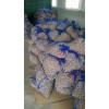 Cycas revoluta seeds packing