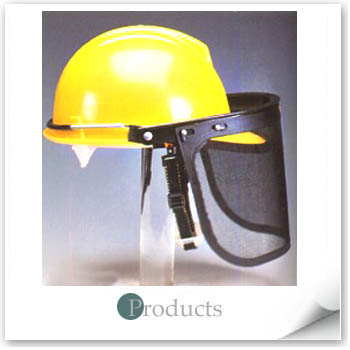 Safety Helmet W/Hearing Protector