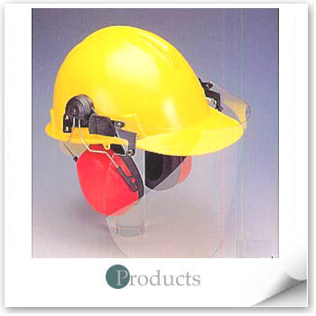 Safety Helmet W/Hearing Protector & Visors