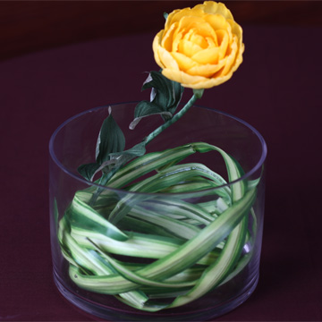 迷你桌上型的盆花--百頁玫瑰黃色