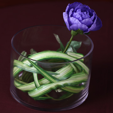 迷你桌上型的盆花--百頁玫瑰紫色