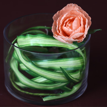 迷你桌上型的盆花--百頁玫瑰可可色