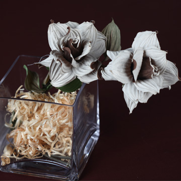 立體式透明玻璃桌上型盆花 -- 俏麗玫瑰( 咖啡色)