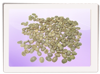 阿拉比卡生豆