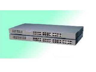 Fast Ethernet Switching Hub