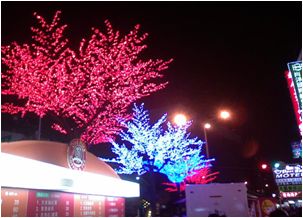 LED燈樹-櫻花燈樹