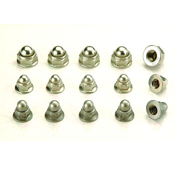 Safety Flange Cap Nut (Prevailings Torque Flange Cap Nut With Metal Insert)