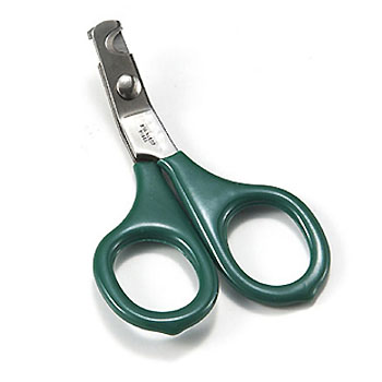 綠色塗料處理貓用指甲刀