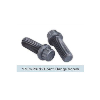 170m Psi 12 Point Flang Screw