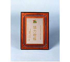 1993年獎章