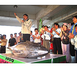第一尾黑鮪魚拍賣